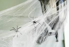 how to dust cobwebs at home clean my
