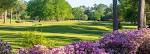 Golf Now at Oak Knoll Country Club | Baton Rouge & New Orleans