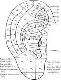 The Similarities Between The World Federation Of Acupuncture