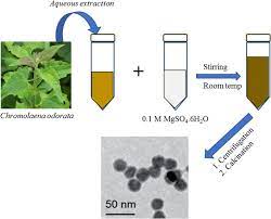 Biomimetic Synthesis Of Magnesium Oxide