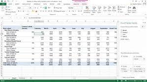 excel pivot table