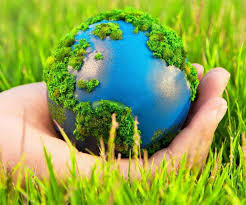 environment protection to 2030