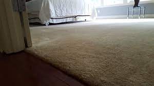 miracle carpet cleaning closed