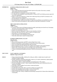 Refer to the credit officer cv example to get ideas on both format and content for your own professional document. Banking Operations Resume Samples Velvet Jobs