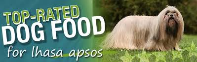 What Is The Best Dog Food For A Lhasa Apso Dog Food Guru