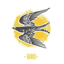 100 000 bird logo vector images