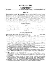 theCVrighter co uk   Sample Project Manager CV