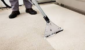the 12 best boat carpet cleaner reviews
