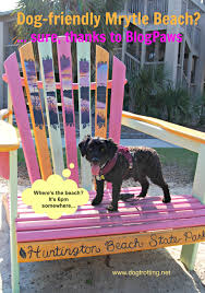 dog friendly myrtle beach sc what you