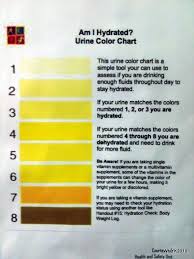 Urine Color Chart And What They Mean Bing Images Chart