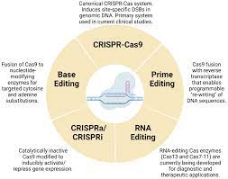 cells free full text crispr cas