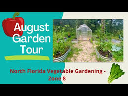 August Vegetable Garden Tour North