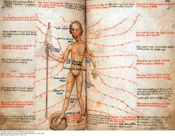 Zodiac Man Man As Microcosm In The Medieval Worldview Homo