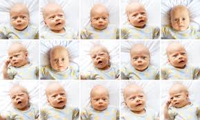 how to take your baby s pport photo