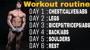 Jeff Seid Workout Routine 2018 Full Body Workout Day Wise Aesthetic Buddy