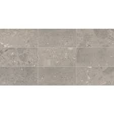 arch grey 12x24 honed by dal tile