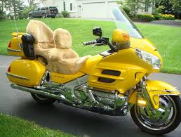 Custom Motorcycle Seat And Backrest