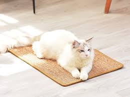 cat scratching mat saves your carpets
