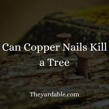 can you use copper nails to kill a tree