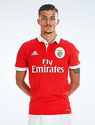 He plays for slb in football manager 2021. Diogo Goncalves Guarda Redes Futebol Goncalves