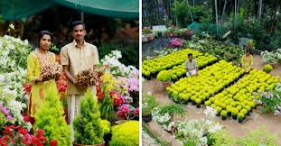 Kerala Couple Grow 34 Varieties Of