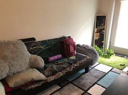 big living room carpet in