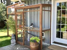 8 catio building mistakes to avoid