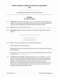 Corporation Operating Agreement Template Stanley Tretick