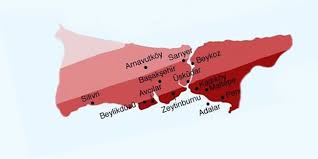 Gaboras, zemin durumu ve bina yaşını göz önünde bulundurarak risk altındaki bölgeleri gösteren i̇stanbul deprem haritası'nı yayınladı. Iste Istanbul Un Ilce Ilce Deprem Risk Haritasi Karadeniz Gazetesi