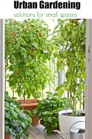 Urban Gardening Ideas For Small Spaces