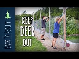 Deer Proof Fencing For Your Yard Or