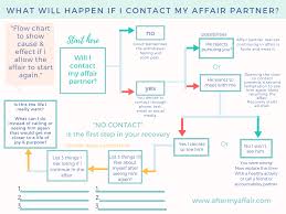 Cause And Effect Flow Chart After My Affair