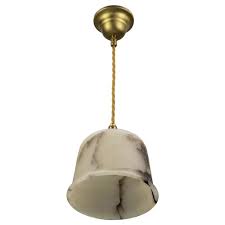 Pendant Light Fixture With Black And