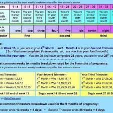10 Pregnancy Trimesters By Weeks And Months Resume Samples