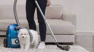 best vacuum cleaners for pet hair 2023