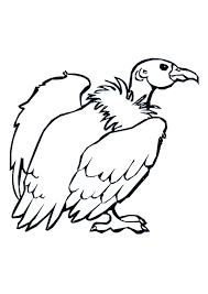 Select from 35870 printable crafts of cartoons, nature, animals, bible and many. Coloring Pages Free Printable Vulture Coloring Pages