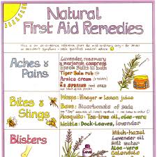 Natural First Aid Remedies Chart Health Herbal And Beauty