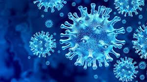 Update the fda has now approved safe, effective coronavirus vaccines for emergency use authorization in the united states. Baua Managing Covid 19 At The Workplace Current Information On The Coronavirus Sars Cov 2 Federal Institute For Occupational Safety An Health