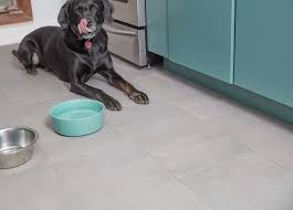pet proof kitchen floors