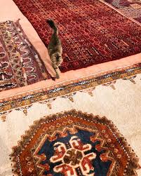 vine moroccan carpet