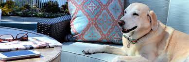How To Choose Pet Friendly Patio