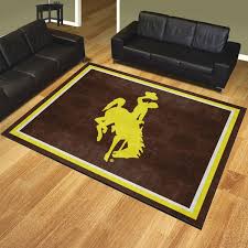 indoor rectangle area rug