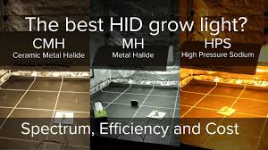 What Is The Best Hid Grow Light High Pressure Sodium Metal Halide Or Ceramic Metal Halide Youtube