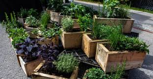 Top 5 Best Outdoor Herb Planters And Uk
