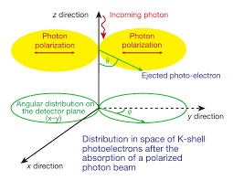 While the photoelectron spectrum is insensitive to this phenomenon, the kinetic energy dependence of the photoelectron angular distribution (pad) of the $^{2}$p$_{3/2}$ channel reflects these dynamics. 2