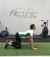 It is estimated that at some point in our lives. Part 1 6 Mobility Exercises For Lower Back Pain Rehabilitation Training