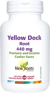 yellow dock by new roots herbal 440