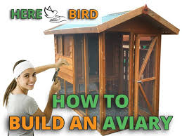 To A Diy Bird Aviary
