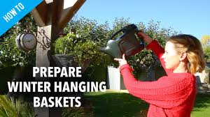 how to prepare winter hanging baskets
