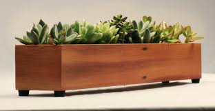 Thanks to windowsills, they have moved inside. Indoor Planter Boxes Ideas On Foter